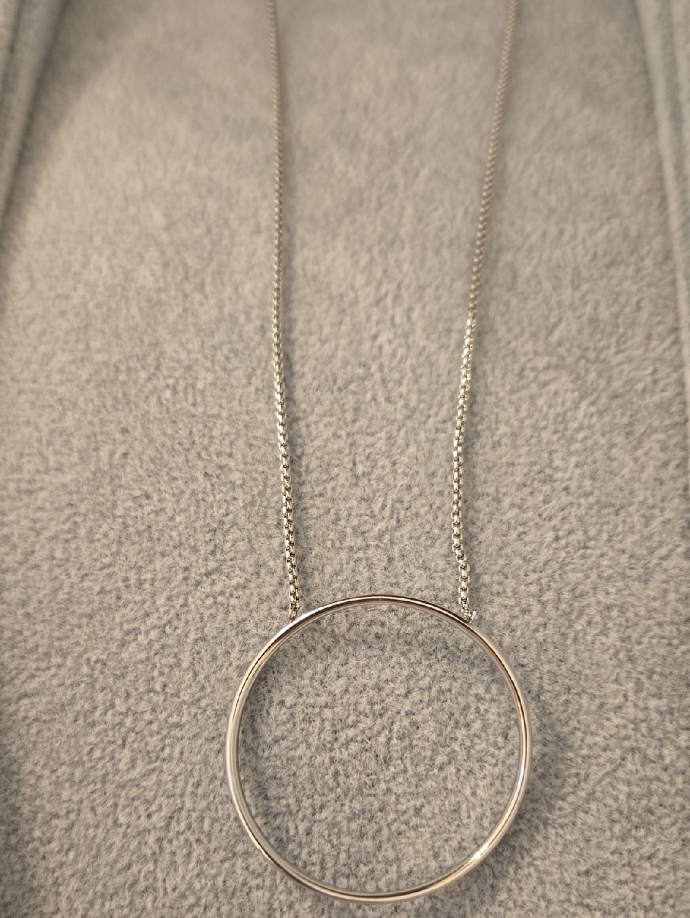 Skagen Stainless Steel Open Circle Pendant Necklace